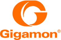 Gigamon